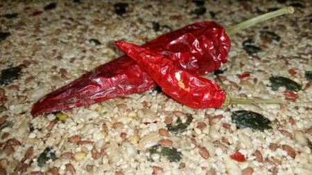 Raw placky Klasik a Klasik Chilli